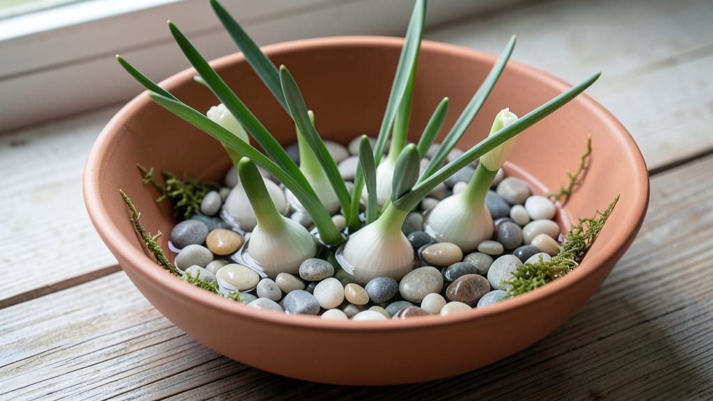 Force Paperwhite Bulbs: Cold Water Soak Trick for Rapid Blooms